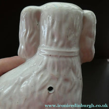 Load image into Gallery viewer, Staffordshire Dogs Chimney Spaniels / Wally Dugs. 8 1/2 inches. ANTIQUE PAIR with amber glass eyes; c1880
