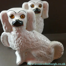 Load image into Gallery viewer, Staffordshire Dogs Chimney Spaniels / Wally Dugs. 8 1/2 inches. ANTIQUE PAIR with amber glass eyes; c1880

