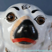 Load image into Gallery viewer, 1880s Victorian Staffordshire Dogs Chimney Spaniels / Wally Dugs. Brown Glass Eyes. 11 1/4 inches - Staffordshire Figure
