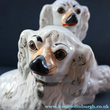 Load image into Gallery viewer, 1880s Victorian Staffordshire Dogs Chimney Spaniels / Wally Dugs. Brown Glass Eyes. 11 1/4 inches - Staffordshire Figure
