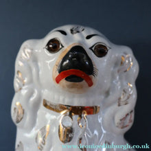 Load image into Gallery viewer, 1880s Victorian Staffordshire Dogs Chimney Spaniels / Wally Dugs. Brown Glass Eyes. 11 1/4 inches - Staffordshire Figure
