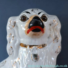 Load image into Gallery viewer, 1880s Victorian Staffordshire Dogs Chimney Spaniels / Wally Dugs. Brown Glass Eyes. 11 1/4 inches - Staffordshire Figure
