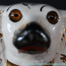 Load image into Gallery viewer, 1880s Victorian Staffordshire Dogs Chimney Spaniels / Wally Dugs. Brown Glass Eyes. 12 inches - Staffordshire Figure
