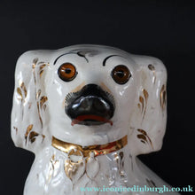 Load image into Gallery viewer, 1880s Victorian Staffordshire Dogs Chimney Spaniels / Wally Dugs. Brown Glass Eyes. 12 inches - Staffordshire Figure
