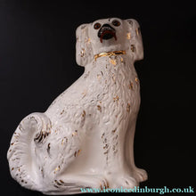 Load image into Gallery viewer, 1880s Victorian Staffordshire Dogs Chimney Spaniels / Wally Dugs. Brown Glass Eyes. 12 inches - Staffordshire Figure
