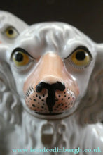 Load image into Gallery viewer, LARGE Staffordshire Dogs Chimney Spaniels / Wally Dugs. 12 1/2 inches. ANTIQUE PAIR with yellow painted eyes; 1880
