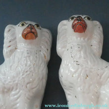 Load image into Gallery viewer, Staffordshire Dogs Chimney Spaniels / Wally Dugs. 8 1/2 inches. ANTIQUE PAIR with painted yellow eyes; c1880
