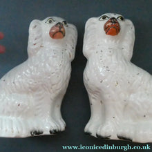 Load image into Gallery viewer, Staffordshire Dogs Chimney Spaniels / Wally Dugs. 8 1/2 inches. ANTIQUE PAIR with painted yellow eyes; c1880
