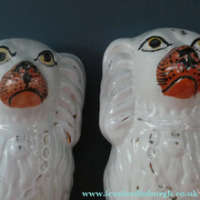 Load image into Gallery viewer, Staffordshire Dogs Chimney Spaniels / Wally Dugs. 8 1/2 inches. ANTIQUE PAIR with painted yellow eyes; c1880
