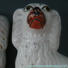 Load image into Gallery viewer, Staffordshire Dogs Chimney Spaniels / Wally Dugs. 8 1/2 inches. ANTIQUE PAIR with painted yellow eyes; c1880
