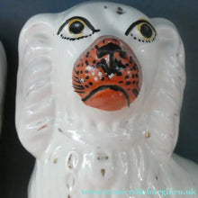 Load image into Gallery viewer, Staffordshire Dogs Chimney Spaniels / Wally Dugs. 8 1/2 inches. ANTIQUE PAIR with painted yellow eyes; c1880
