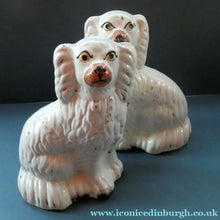 Load image into Gallery viewer, Staffordshire Dogs Chimney Spaniels / Wally Dugs. 8 1/2 inches. ANTIQUE PAIR with painted yellow eyes; c1880
