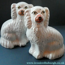 Load image into Gallery viewer, Staffordshire Dogs Chimney Spaniels / Wally Dugs. 8 1/2 inches. ANTIQUE PAIR with painted yellow eyes; c1880
