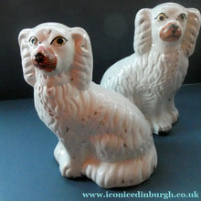 Load image into Gallery viewer, Staffordshire Dogs Chimney Spaniels / Wally Dugs. 8 1/2 inches. ANTIQUE PAIR with painted yellow eyes; c1880
