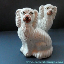 Load image into Gallery viewer, Staffordshire Dogs Chimney Spaniels / Wally Dugs. 8 1/2 inches. ANTIQUE PAIR with painted yellow eyes; c1880
