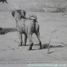 Load image into Gallery viewer, Satirical Print Engraving by Mansell after Harding Cox. Tug of War
