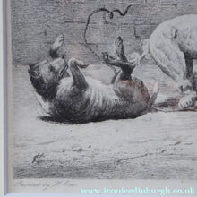 Load image into Gallery viewer, Satirical Print Engraving by Mansell after Harding Cox. Tug of War
