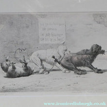 Load image into Gallery viewer, Satirical Print Engraving by Mansell after Harding Cox. Tug of War
