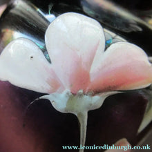 Load image into Gallery viewer, Miniature Art Nouveau Iridescent Glass Match Pair of Vases with Enamel Flower Decoration
