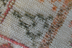 ANTIQUE 19th Century Embroidered Sampler with Letters and Floral Designs & Wild Strawberry Border