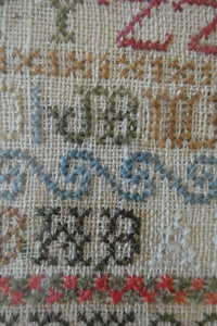 ANTIQUE 19th Century Embroidered Sampler with Letters and Floral Designs & Wild Strawberry Border