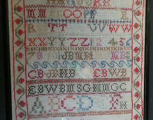 ANTIQUE 19th Century Embroidered Sampler with Letters and Floral Designs & Wild Strawberry Border