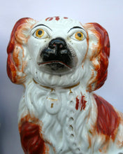 Load image into Gallery viewer, Red and White Patches. Antique Staffordshire Chimney Spaniels Dogs. Victorian
