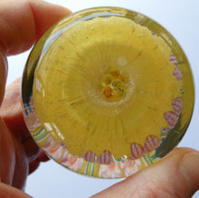 Load image into Gallery viewer, Vintage Scottish Perthshire Paperweight Yellow Ground 9 Spokess
