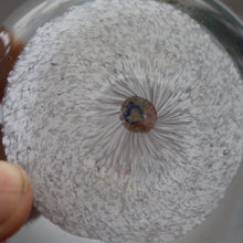 Load image into Gallery viewer, Vintage 1950s Vasart Paperweight Inside the Base of a Chunky Pin Dish or Small  Bowl
