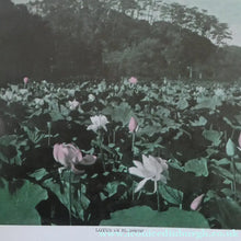 Load image into Gallery viewer, 1906 ANTIQUE Hardback Publication. Japan In Pictures by Douglas Sladen (Published George Newnes)
