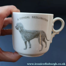 Load image into Gallery viewer, ANTIQUE 1911 Edwardian Cup by Co-operative Wholesale Society Ltd with BEDLINGTON TERRIER Decoration
