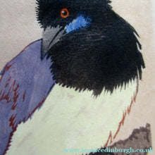 Load image into Gallery viewer, 1920s Art Deco Colour Woodcut by Martin Erich Philipp. Crows Ravens
