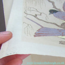 Load image into Gallery viewer, 1920s Art Deco Colour Woodcut by Martin Erich Philipp. Crows Ravens
