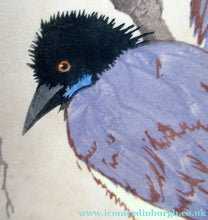 Load image into Gallery viewer, 1920s Art Deco Colour Woodcut by Martin Erich Philipp. Crows Ravens
