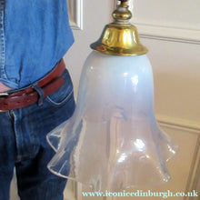 Load image into Gallery viewer, Art Nouveau Single Rise and Fall Light Fitting Vaseline Shade
