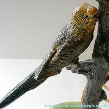 Load image into Gallery viewer, 1920s AUSTRIAN Bronze Table Lamp in the Form of a Tree with Cold Painted Budgerigars. Nice Green Onyx Base
