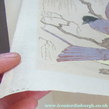 Load image into Gallery viewer, 1920s Art Deco Colour Woodcut by Martin Erich Philipp. Crows Ravens
