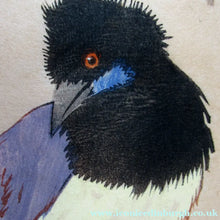 Load image into Gallery viewer, 1920s Art Deco Colour Woodcut by Martin Erich Philipp. Crows Ravens
