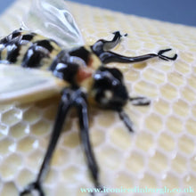 Load image into Gallery viewer, 1930s Art Deco CROWN DEVON Honey Pot or Box with Bee Finial on the Lid
