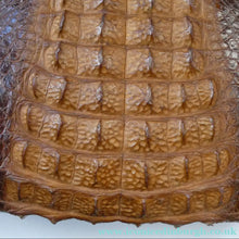 Load image into Gallery viewer, Vintage 1930s ART DECO Hornback Crocodile with Brass Enamel Metal Frame and Fancy Brass Clasp
