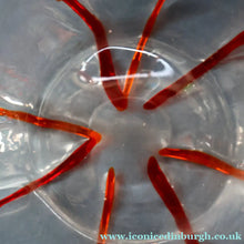 Load image into Gallery viewer, Rare 1930s Art Nouveau Art Glass Vase with Applied Red Trails (Attributed to Pallme Konig &amp; Hagel, Austria)
