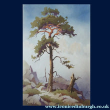Load image into Gallery viewer, 1930s  COLOUR WOODCUT Entitled The Lone Pine by James Alphege Brewer (1881 - 1946)
