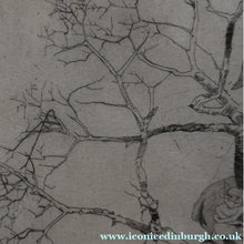 Load image into Gallery viewer, Strange 1930s Etching Featuring Winged Imps by Doris Boulton-Maude. Entitled "The Dead Tree.

