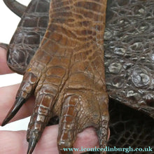 Load image into Gallery viewer, 1940s / 1950s Vintage Genuine Hornback Alligator Handbag with Head and Legs
