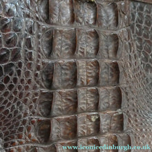 Load image into Gallery viewer, 1940s / 1950s Vintage Genuine Hornback Alligator Handbag with Head and Legs
