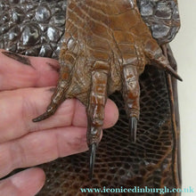 Load image into Gallery viewer, 1940s / 1950s Vintage Genuine Hornback Alligator Handbag with Head and Legs
