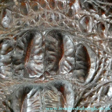 Load image into Gallery viewer, 1940s / 1950s Vintage Genuine Hornback Alligator Handbag with Head and Legs
