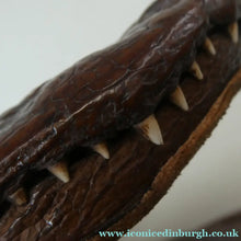 Load image into Gallery viewer, 1940s / 1950s Vintage Genuine Hornback Alligator Handbag with Head and Legs
