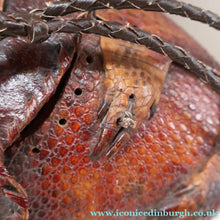 Load image into Gallery viewer, Vintage 1940s Armadillo Handbag. Purchased in Los Angeles in the 1990s
