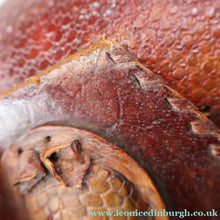 Load image into Gallery viewer, Vintage 1940s Armadillo Handbag. Purchased in Los Angeles in the 1990s
